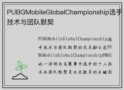 PUBGMobileGlobalChampionship选手技术与团队默契