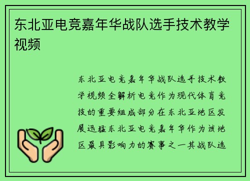 东北亚电竞嘉年华战队选手技术教学视频